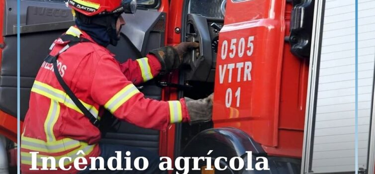 Incêndio agrícola combatido em Malpica do Tejo