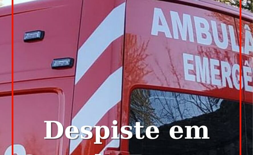Um veículo ligeiros de passageiros despistou-se esta tarde na EN3