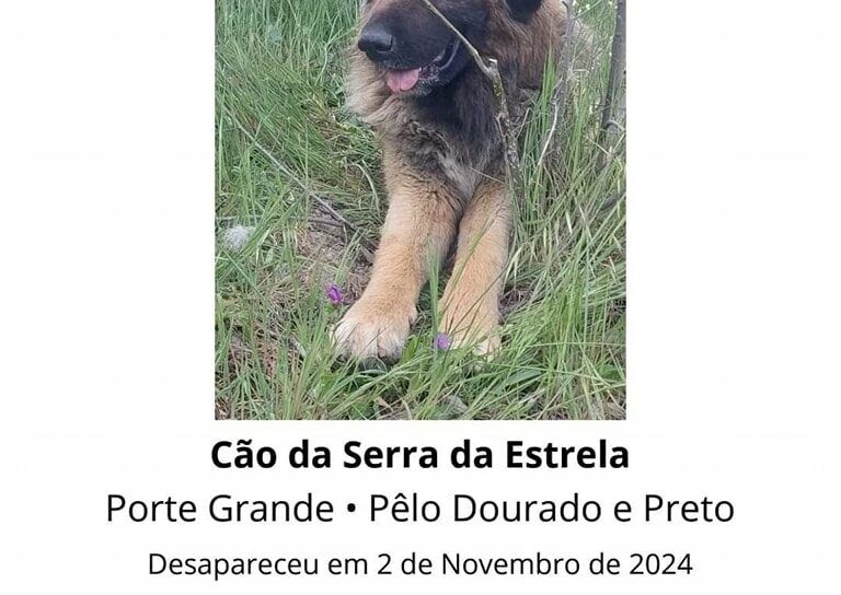Castelo Branco