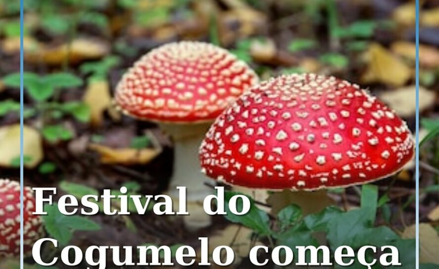 Fundão