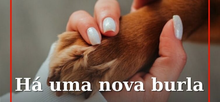 Alerta: Nova burla MBWay e o alvo são donos de animais perdidos
