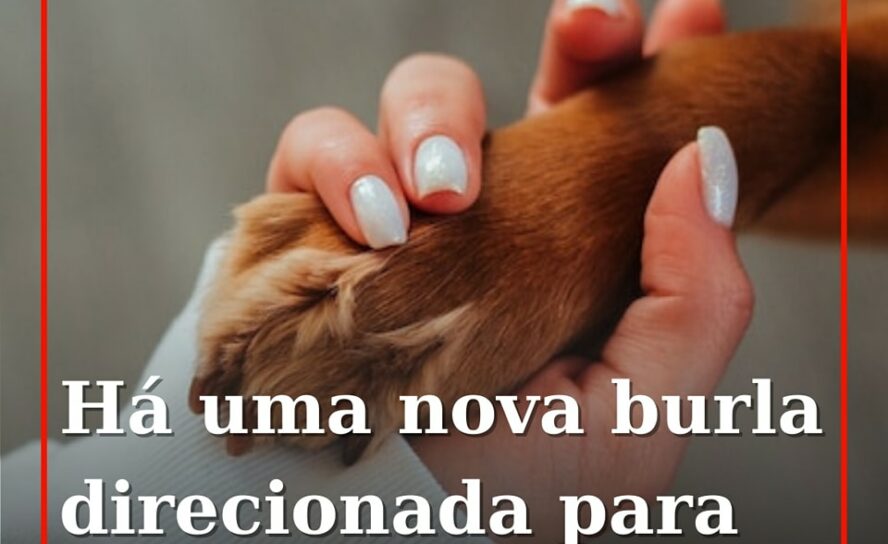 Alerta: Nova burla MBWay e o alvo são donos de animais perdidos