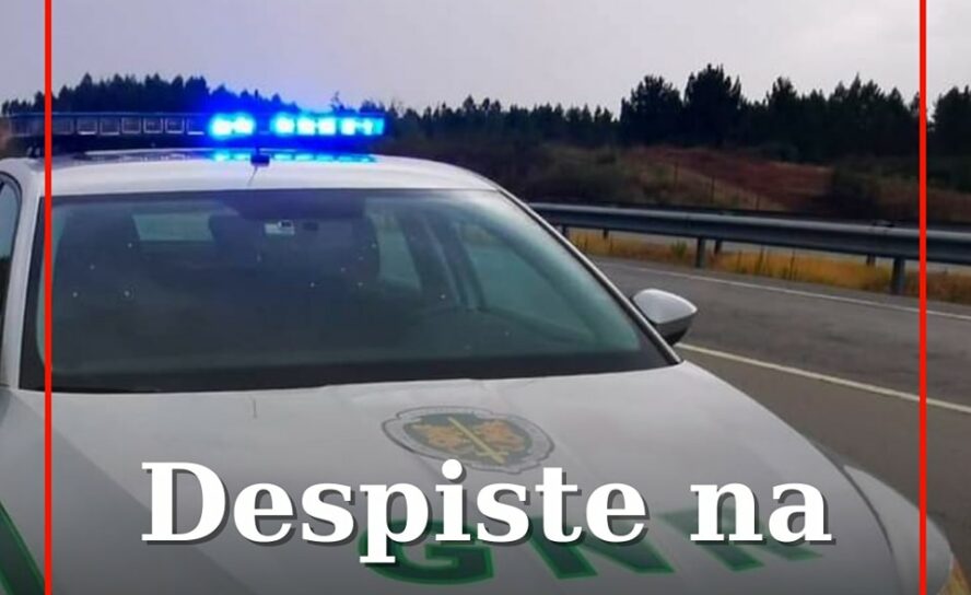 Automóvel despista-se na A23