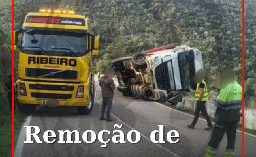 Os trabalhos de remoção do veículo pesado de mercadorias que tombou esta manhã d