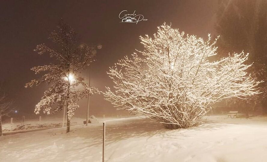 Penhas da Saúde (Serra da Estrela) 13/11/2024