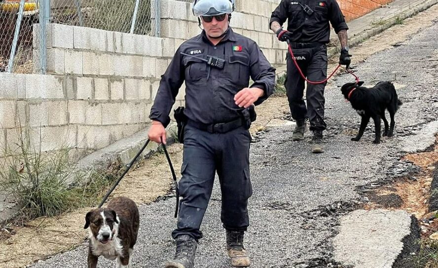 Valência: IRA evacua cães e distribui ajuda humanitária em Valência