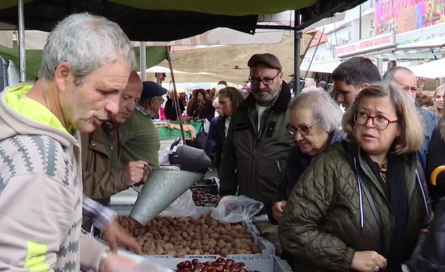 Vila de Alcains recebe Feira dos Santos