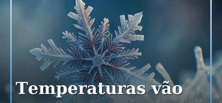 Geada e frio intenso chegam este fim-de-semana