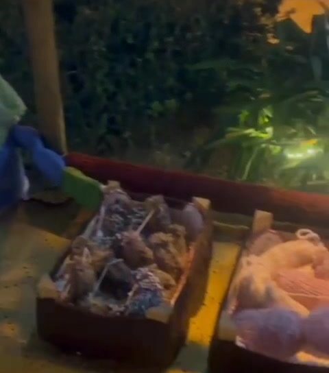 Medelim Encanta com a Magia do Natal em Crochê