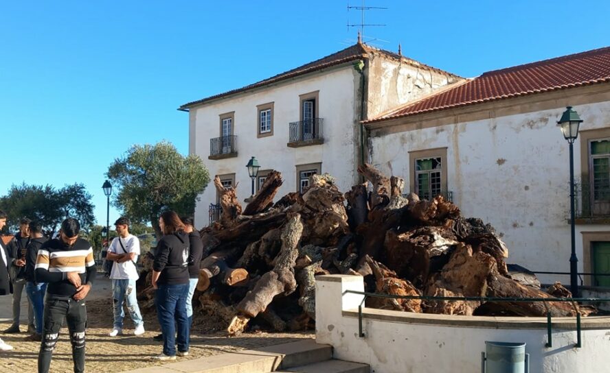 Monforte da Beira já acendeu o Madeiro de Natal