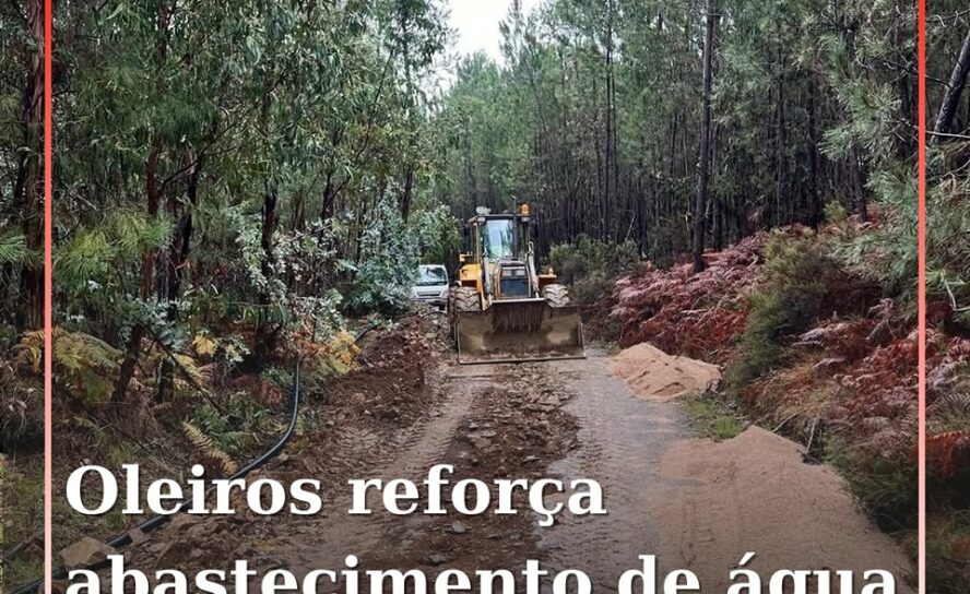 Oleiros