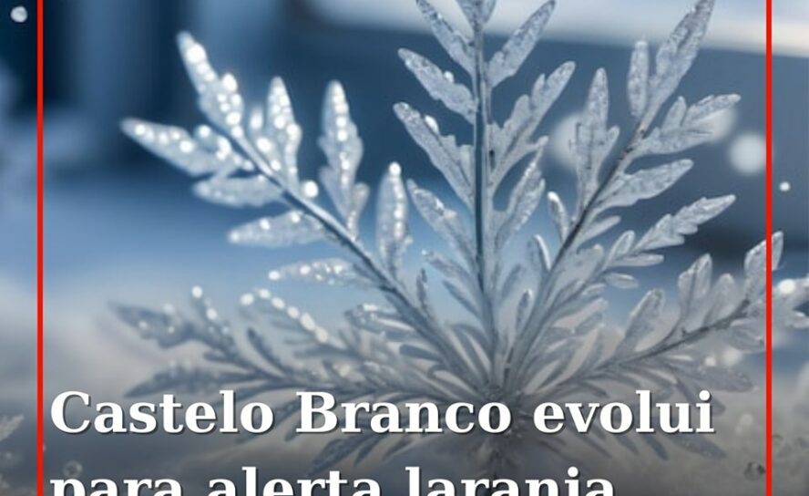 Castelo Branco