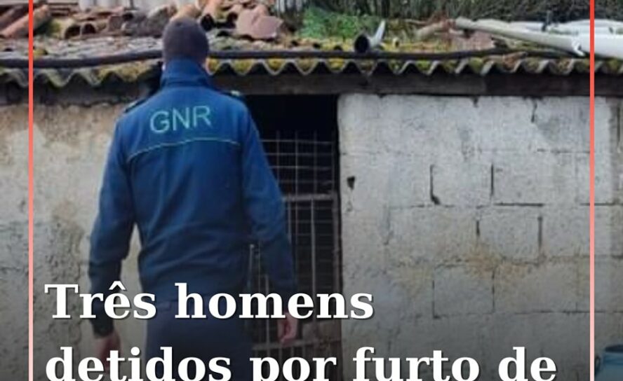 Fundão