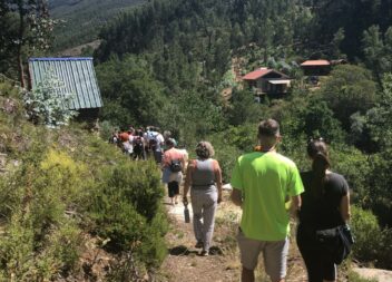 Castanheira de Pera