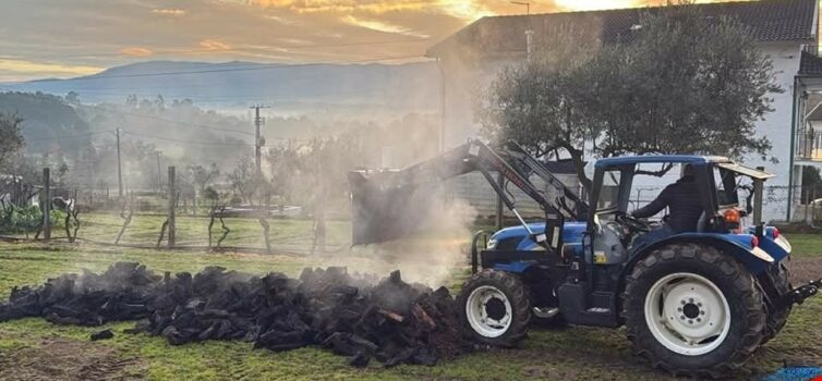 Incêndio deflagra em armazém em Seia