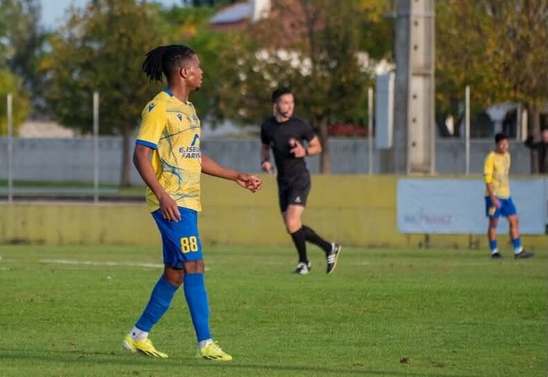 Pêro Pinheiro 1 Alcains 2