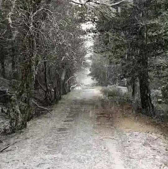 Serra da Estrela: Neve vai pintando a montanha