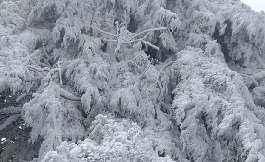 Sincelo: Paisagens do Centro e Norte do país transformadas em postais de Inverno