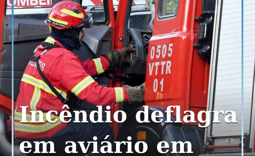 Um incêndio deflagrou esta manhã de terça-feira num aviário em Almaceda