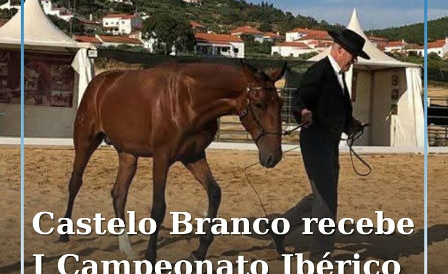 Castelo Branco
