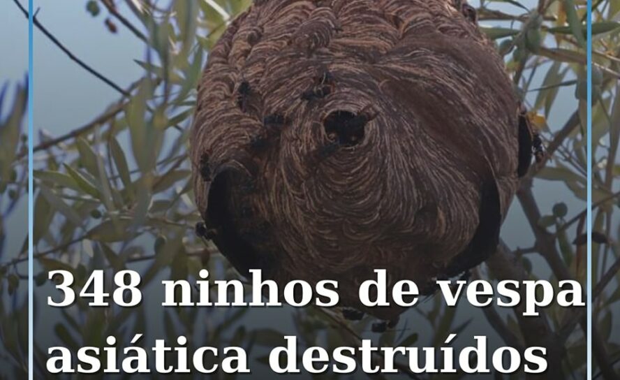 Covilhã