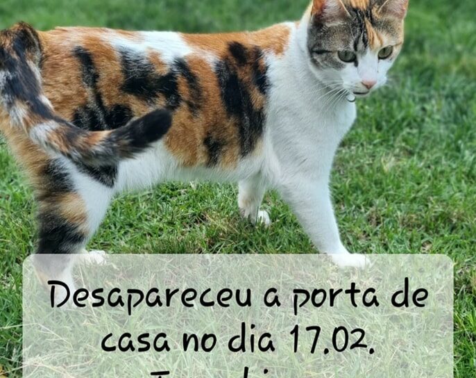 Alcains