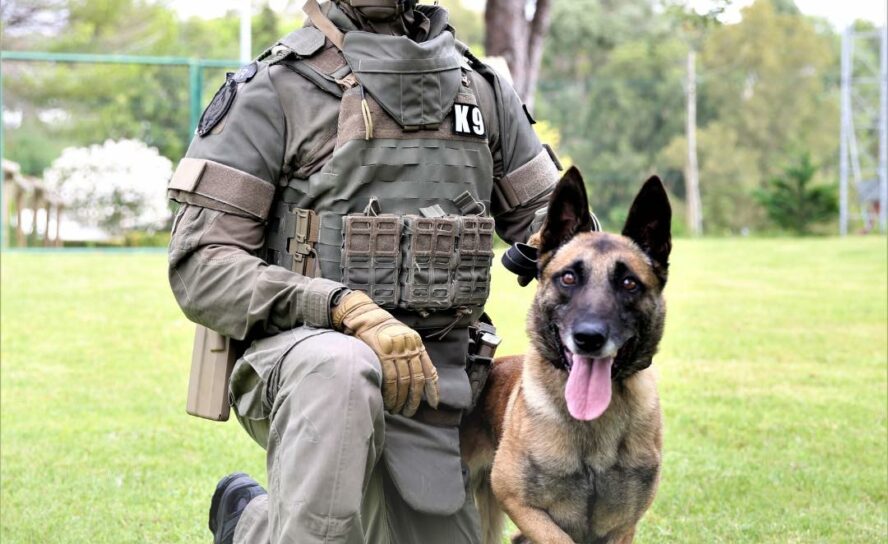 Atividade operacional da GNR