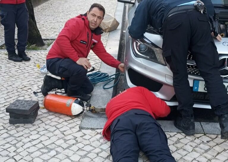 Bombeiros da Covilhã resgatam gato preso no motor de um carro