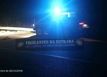 Colisão com animal em Castelo Branco