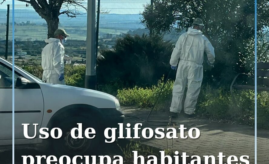 Moradores da Covilhã preocupados com uso de herbicida em espaços públicos