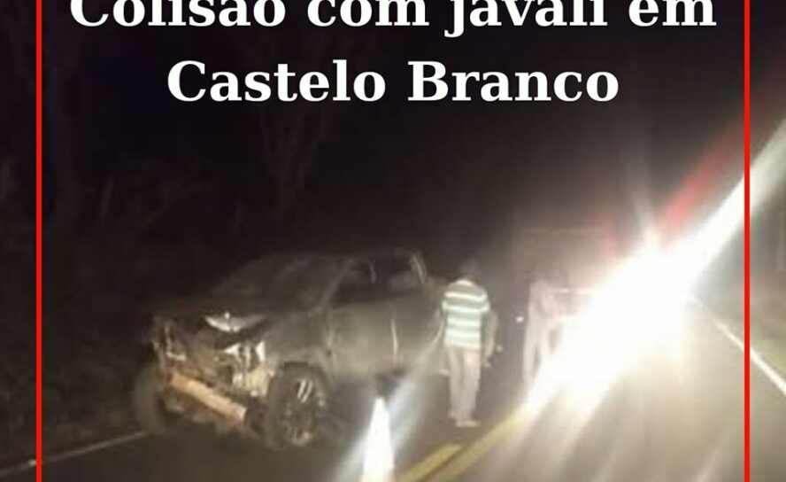 Uma colisão rodoviária que envolveu um animal (javali) próximo do cruzamento de