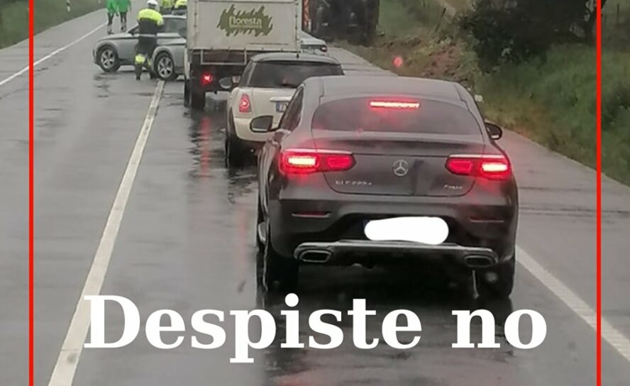 Veículo pesado despista-se no IP2
