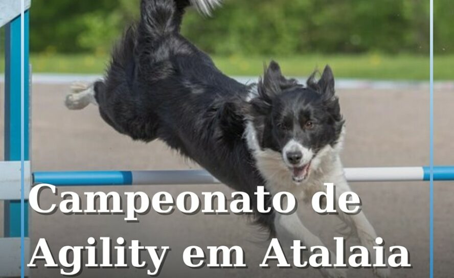 Fundão