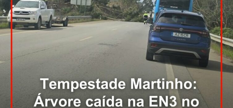 Castelo Branco