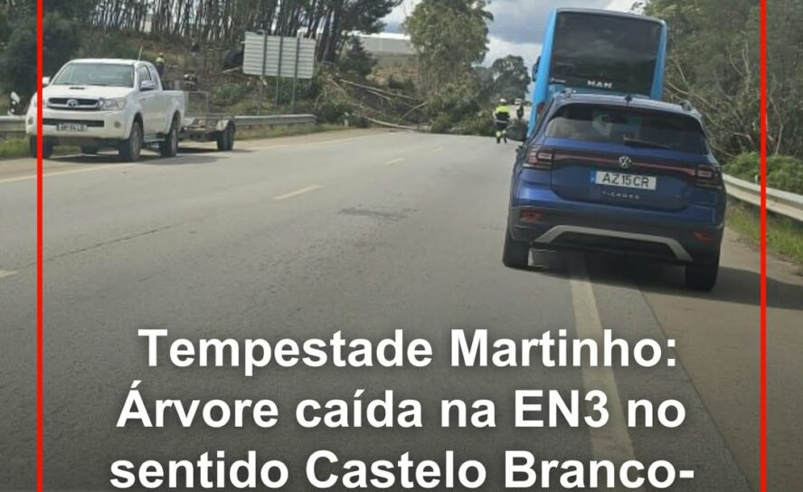 Castelo Branco