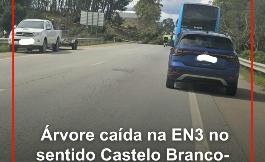 Castelo Branco