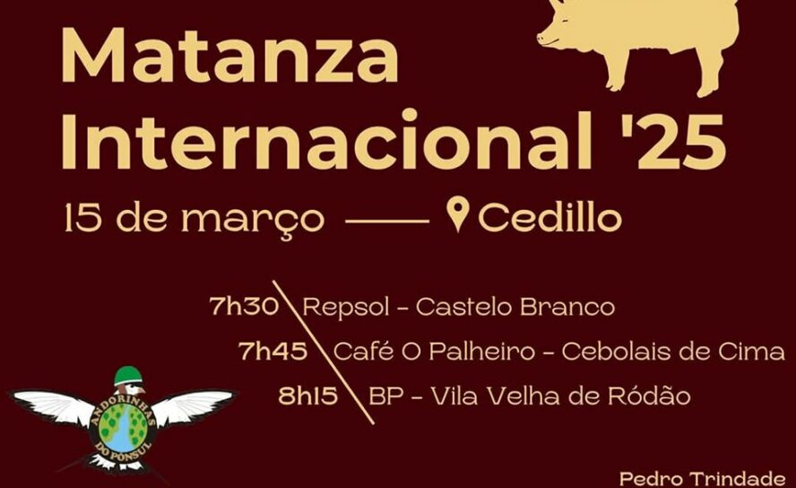 Andorinhas do Pônsul rumam a Cedillo para a "Matanza Internacional"