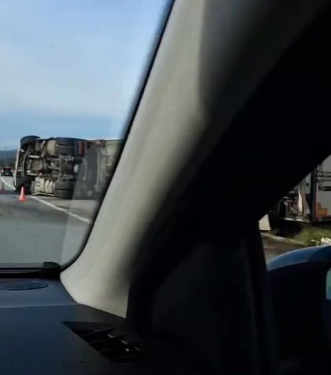 Camião despista-se na A23 em Alcains
