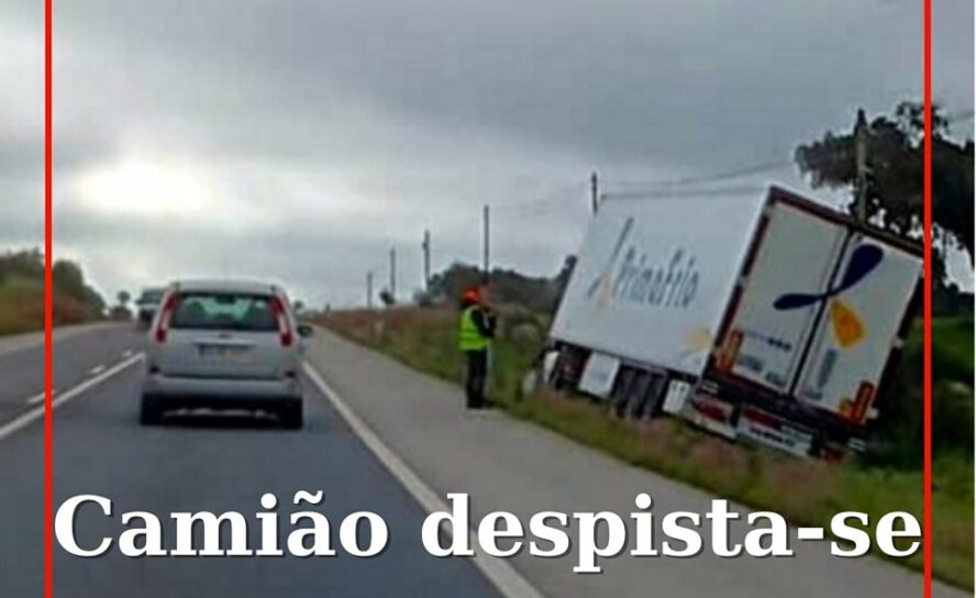 Camião despista-se na EN246 entre Portalegre e São Tiago
