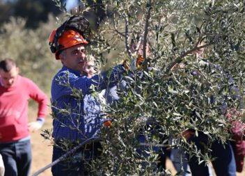 II Edição do Workshop de Poda de Oliveiras foi um sucesso na Sertã