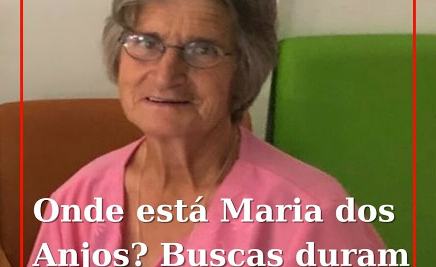 Idosa desaparecida em Proença-a-Nova: buscas continuam