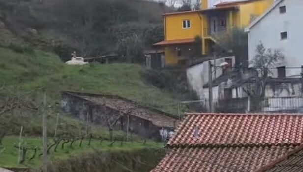 Neve na Covilh\u00e3: Sarzedo pintado de branco\n\nA neve chegou \u00e0 Covilh\u