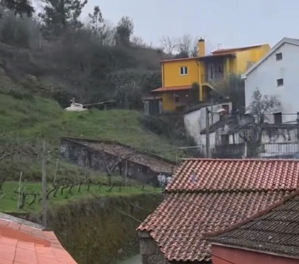 Neve na Covilh\u00e3: Sarzedo pintado de branco\n\nA neve chegou \u00e0 Covilh\u