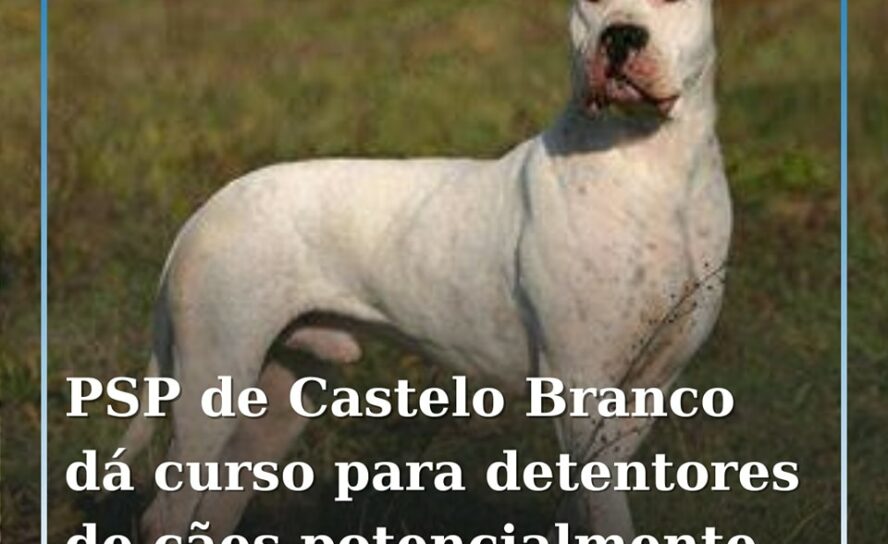 PSP de Castelo Branco promove curso para detentores de cães perigosos