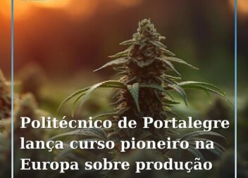 Politécnico de Portalegre lança curso pioneiro na Europa sobre produção de canáb