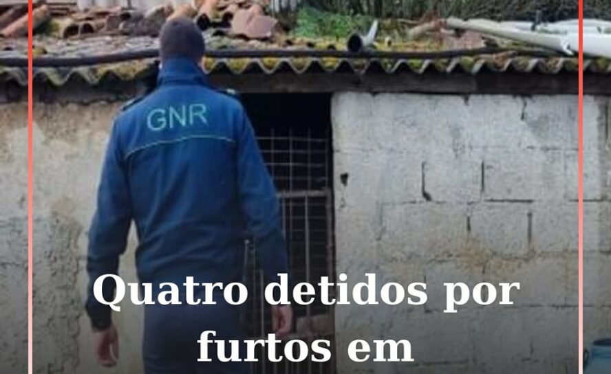 Quatro detidos por furtos em propriedades agrícolas