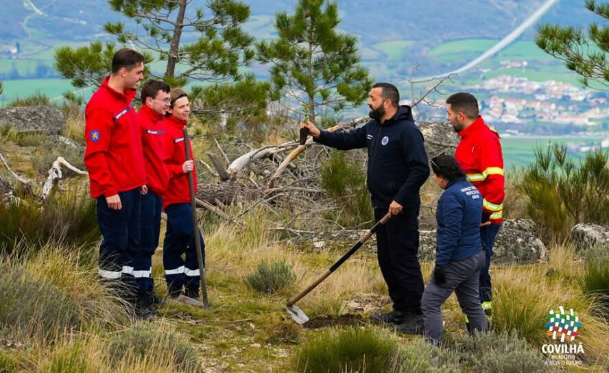 Reflorestação no Parque Natural da Serra da Estrela
