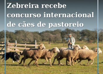 Zebreira recebe Concurso Internacional de Cães de Pastoreio