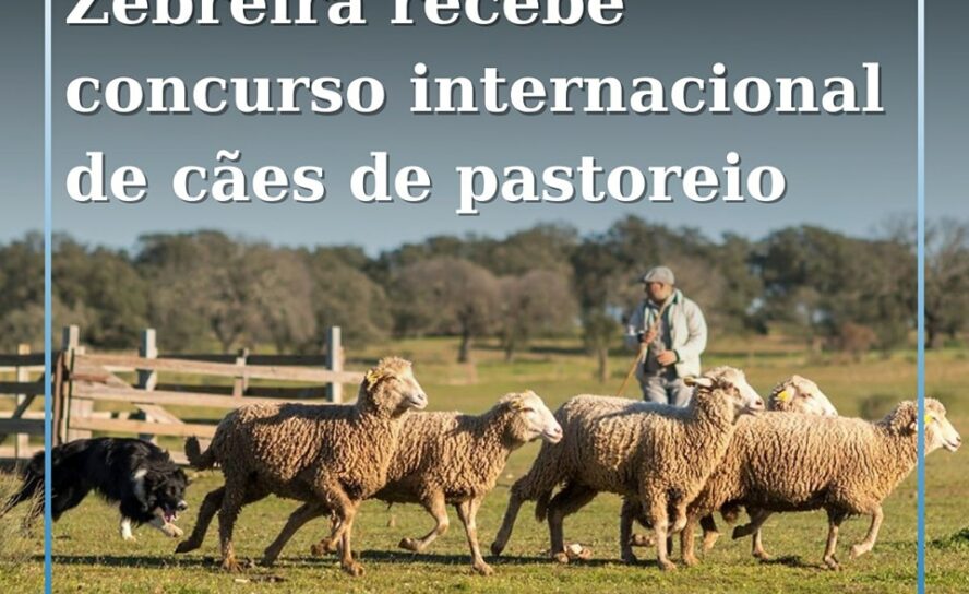 Zebreira recebe Concurso Internacional de Cães de Pastoreio