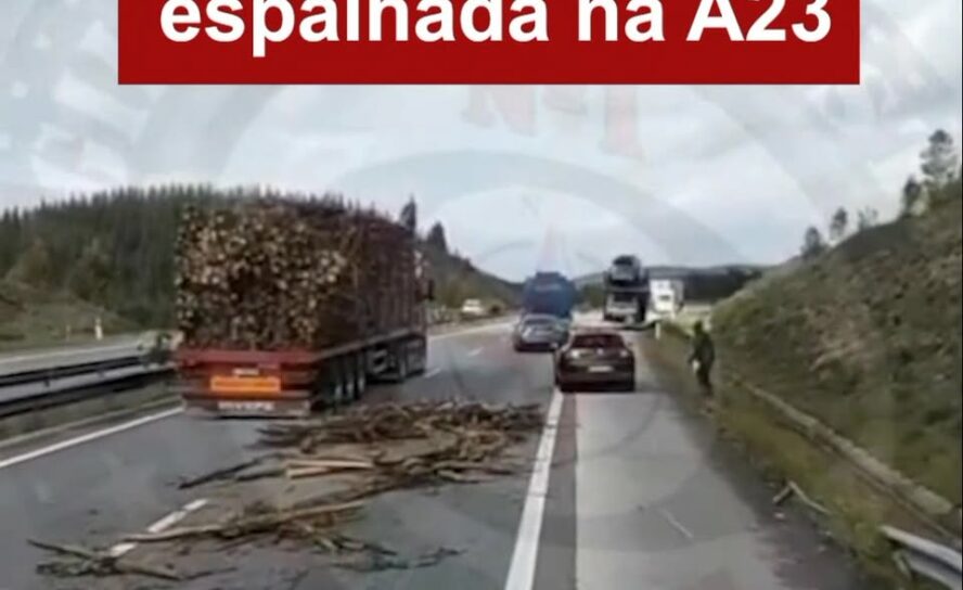 Carga de madeira espalhada na A23
